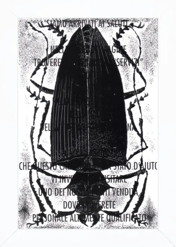 Black Beetle on Words by Tennopent Sooster for Artfully Walls
