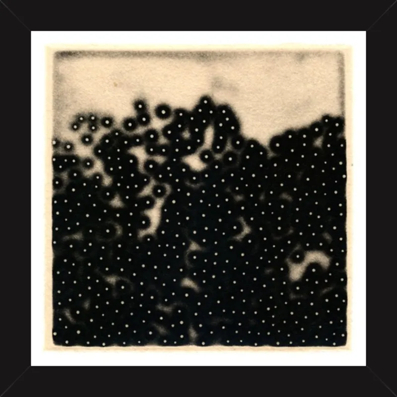 Porous #32 by Eunice Kim for Artfully Walls