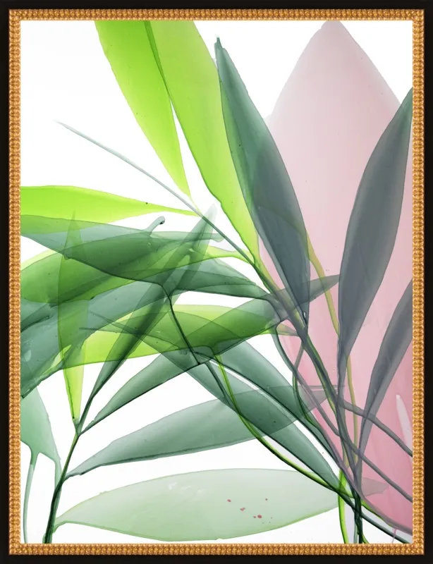 Tropical Study no. 15 by Marina Dunbar  for Artfully Walls