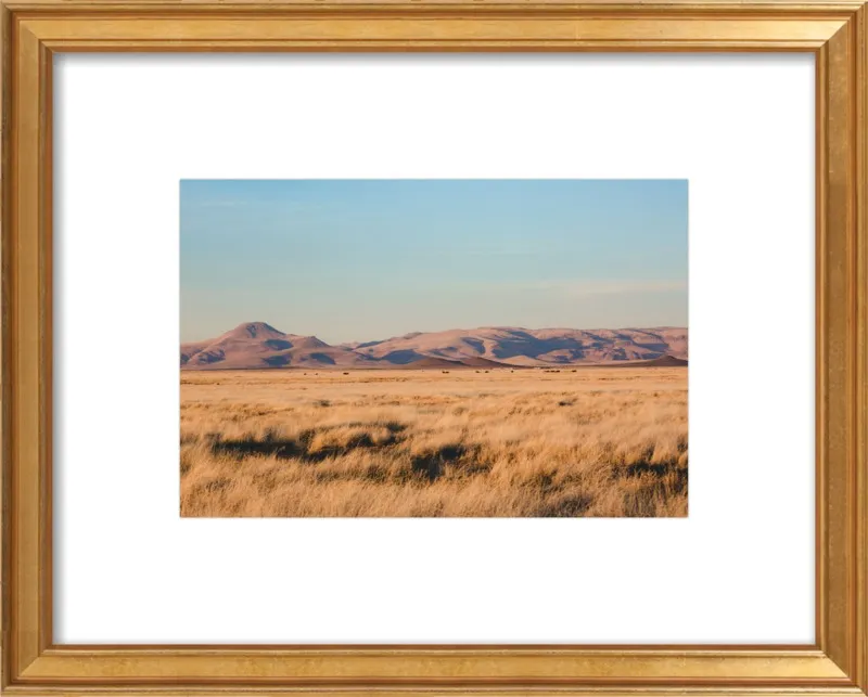 Where the Buffalo Roam by Ann Hudec for Artfully Walls