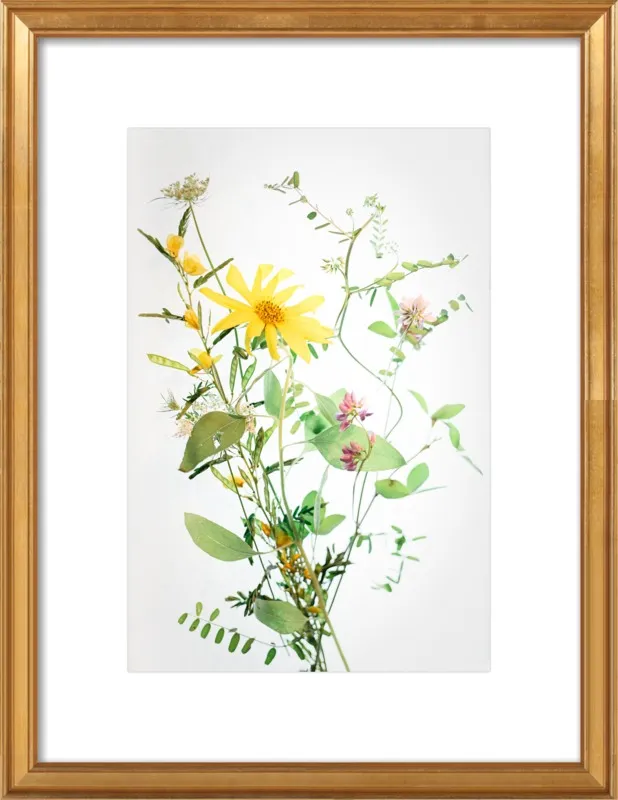 A Bunch of Wild Flowers by Qing Ji for Artfully Walls