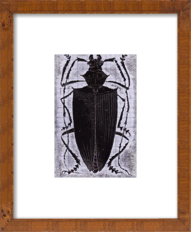 Black Beetle on Grey by Tennopent Sooster for Artfully Walls