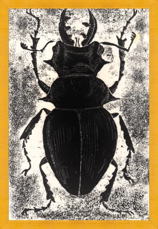 Black Beetle on White by Tennopent Sooster for Artfully Walls