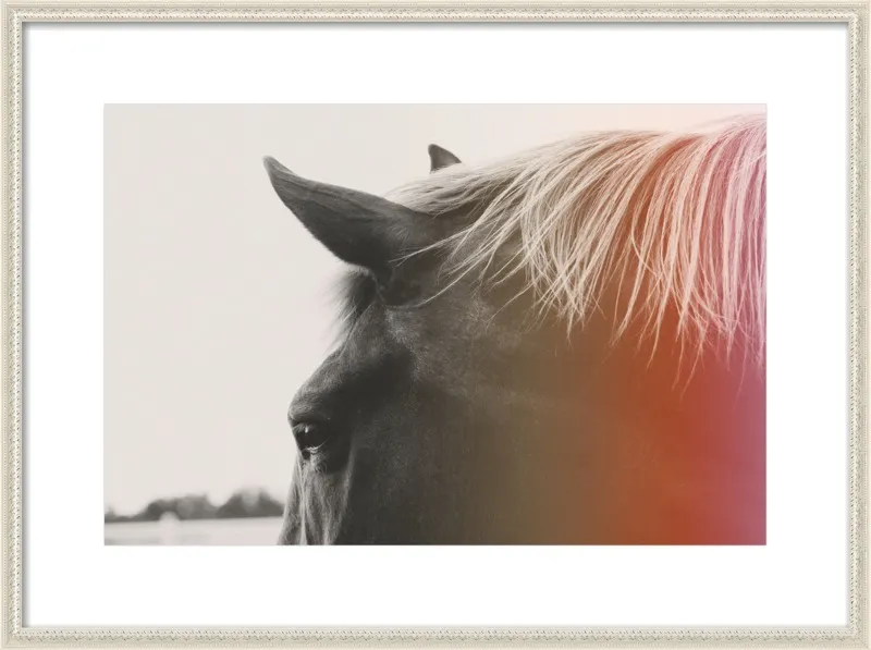 Pink Pony by Alicia Bock for Artfully Walls