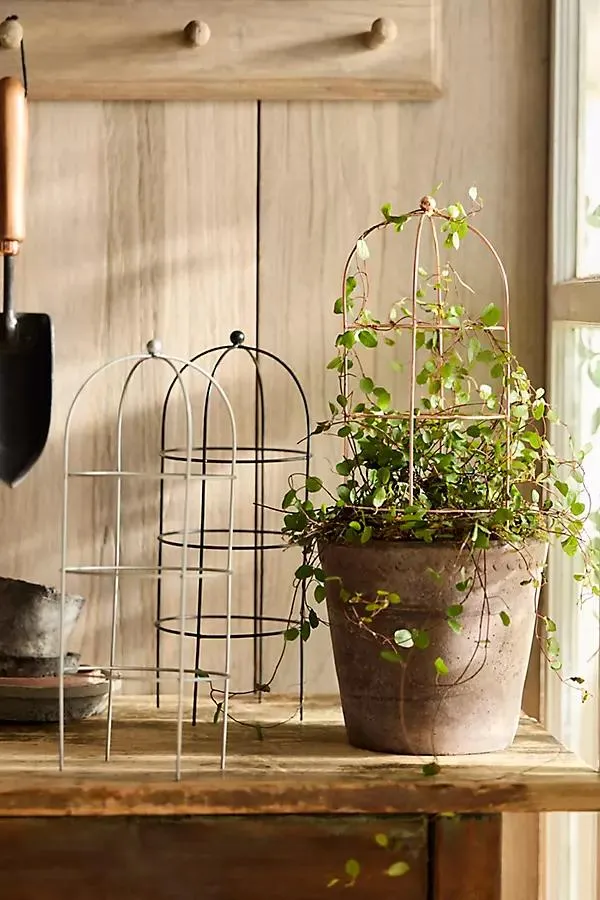 Domed Cylinder Iron Mini Trellis
