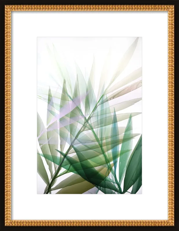 Tropical Study no. 8 by Marina Dunbar  for Artfully Walls