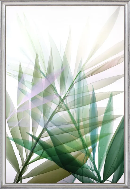 Tropical Study no. 8 by Marina Dunbar  for Artfully Walls
