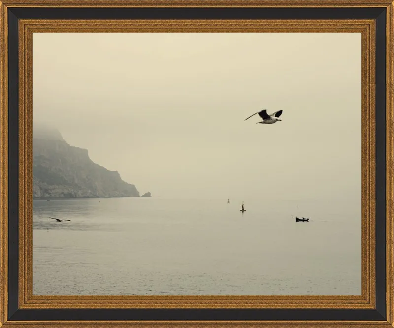 one day I will fly away by Ingrid Beddoes for Artfully Walls