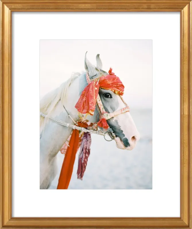 Marwari by Andrew Jacona for Artfully Walls