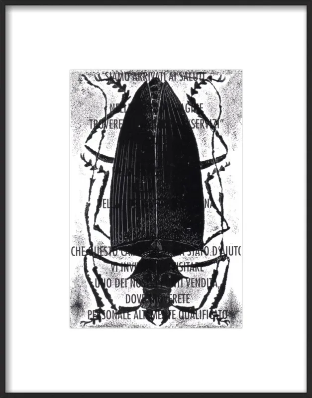Black Beetle on Words by Tennopent Sooster for Artfully Walls