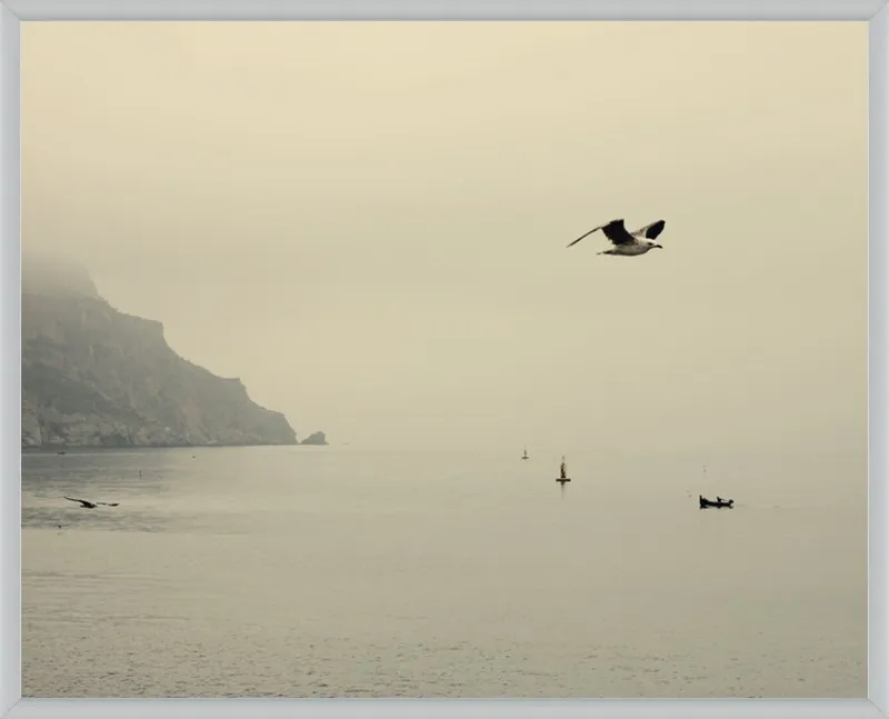 one day I will fly away by Ingrid Beddoes for Artfully Walls