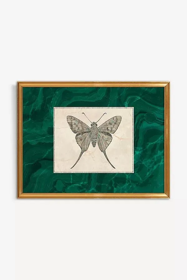 Moth Wall Art