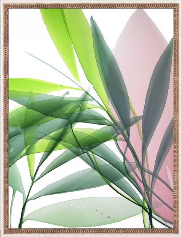 Tropical Study no. 15 by Marina Dunbar  for Artfully Walls