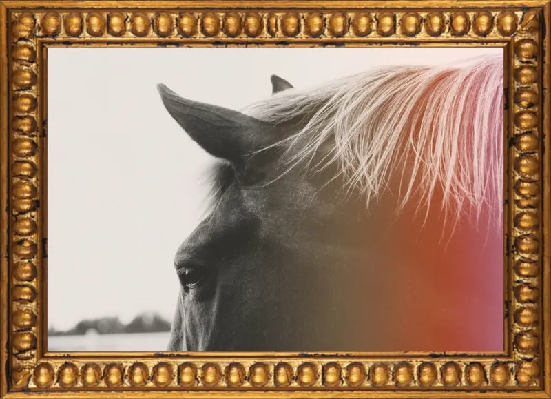 Pink Pony by Alicia Bock for Artfully Walls