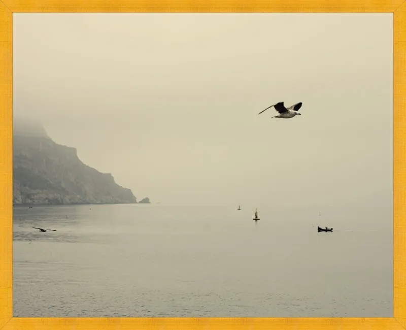 one day I will fly away by Ingrid Beddoes for Artfully Walls
