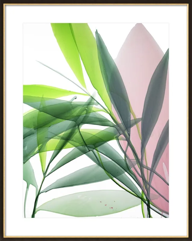 Tropical Study no. 15 by Marina Dunbar  for Artfully Walls