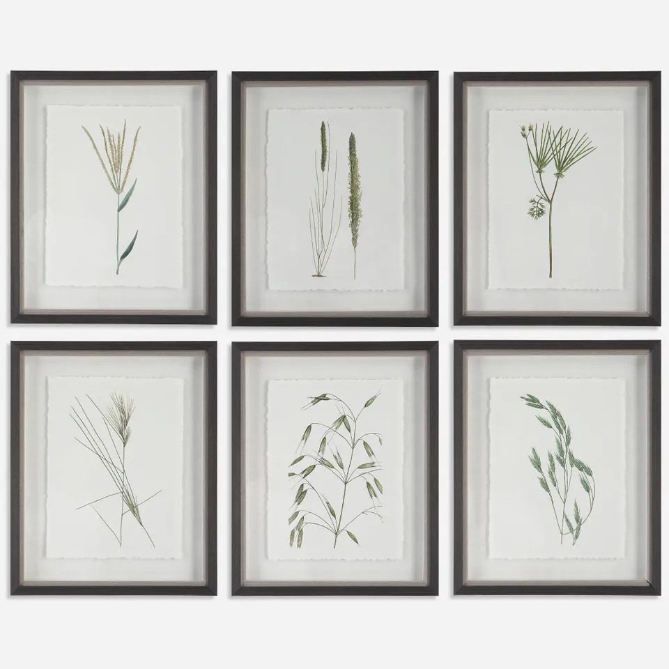 Forest Finds Framed Prints Set/6