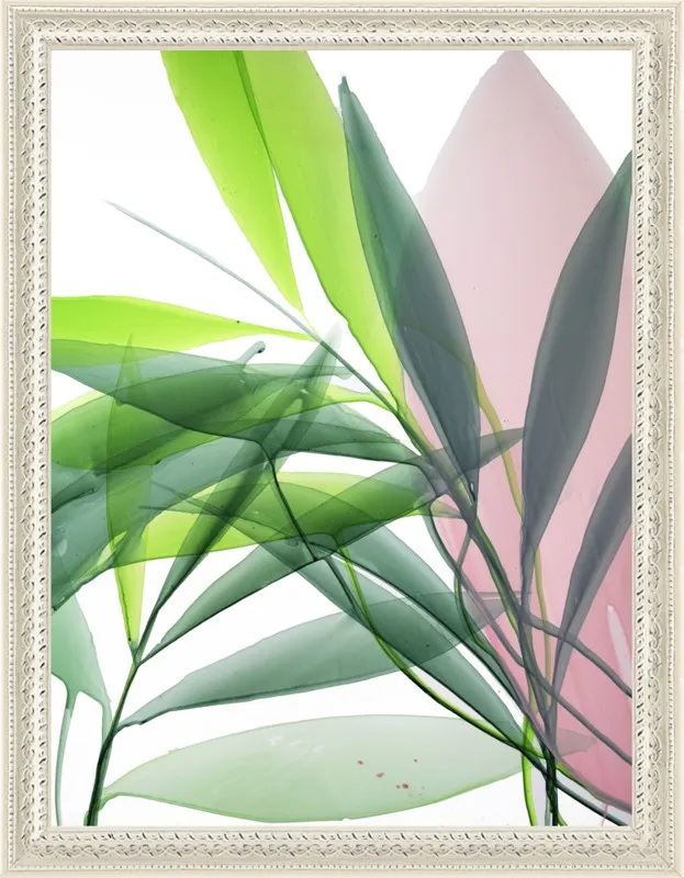 Tropical Study no. 15 by Marina Dunbar  for Artfully Walls