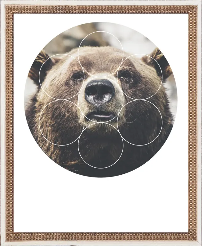 Big Bear Buddy - Geometric Photography by Emiliano Deificus for Artfully Walls