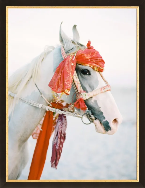 Marwari by Andrew Jacona for Artfully Walls