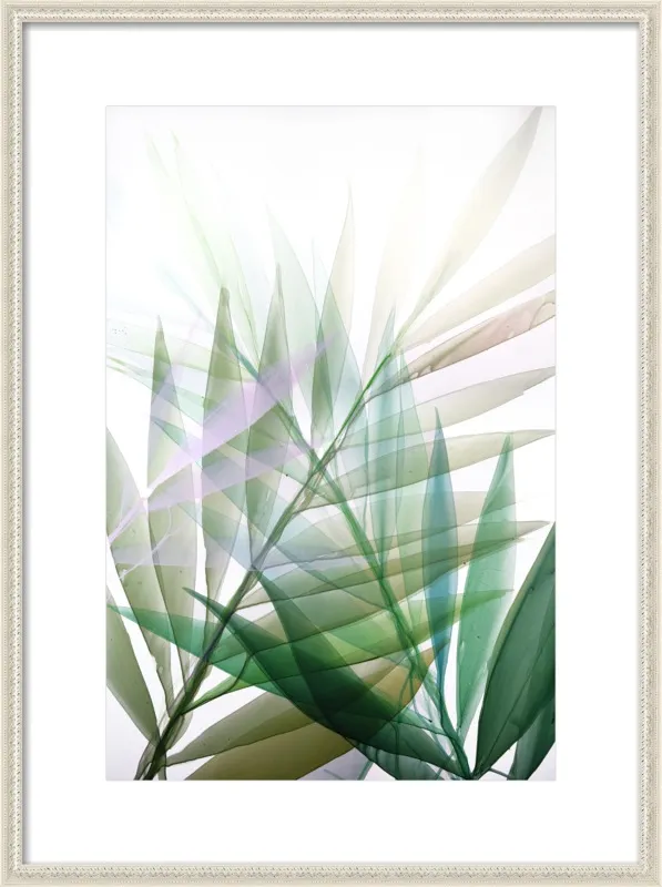 Tropical Study no. 8 by Marina Dunbar  for Artfully Walls