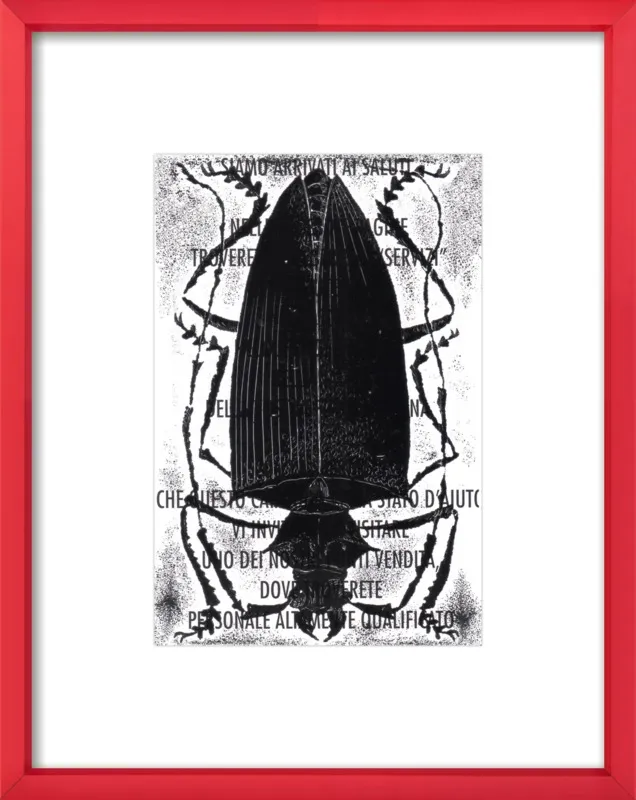 Black Beetle on Words by Tennopent Sooster for Artfully Walls