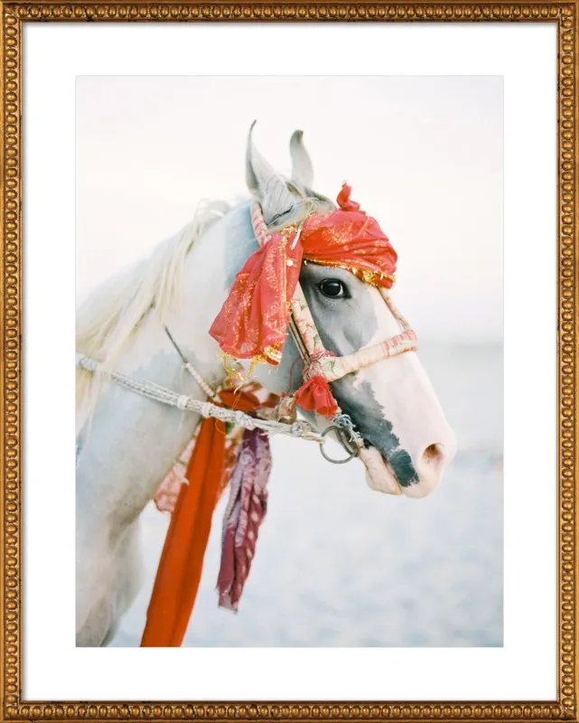 Marwari by Andrew Jacona for Artfully Walls