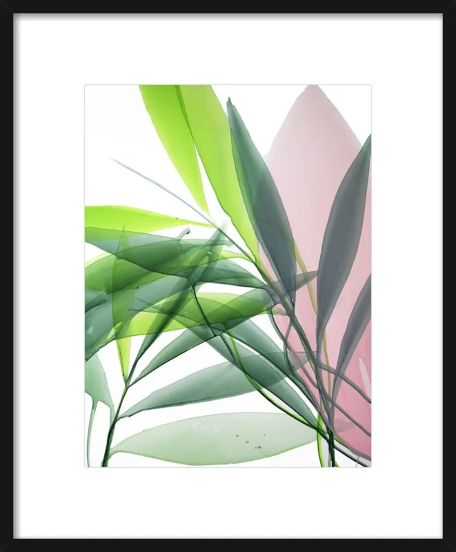 Tropical Study no. 15 by Marina Dunbar  for Artfully Walls