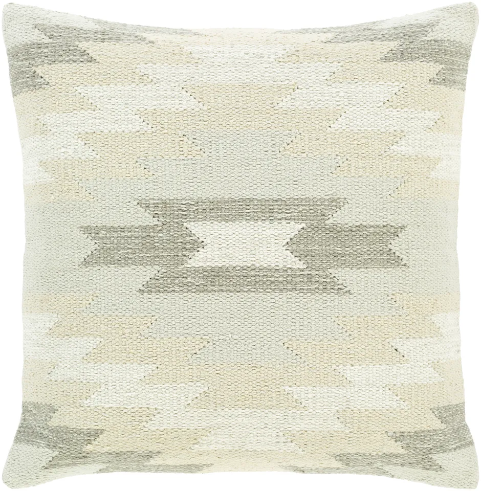 Anika ANI-003 22"L x 22"W Down Filled Pillow