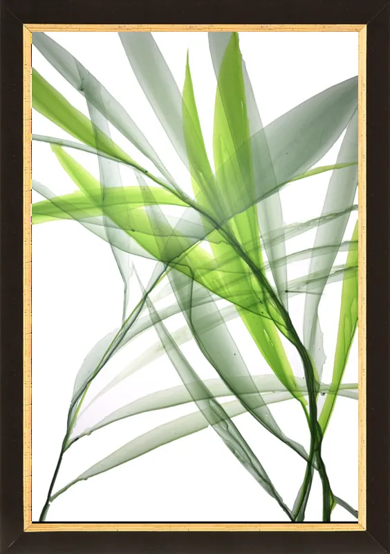 Tropical Study no. 3 by Marina Dunbar  for Artfully Walls