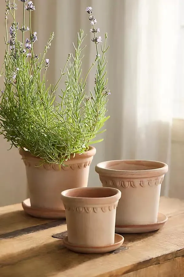 Terrace Galestro Pot