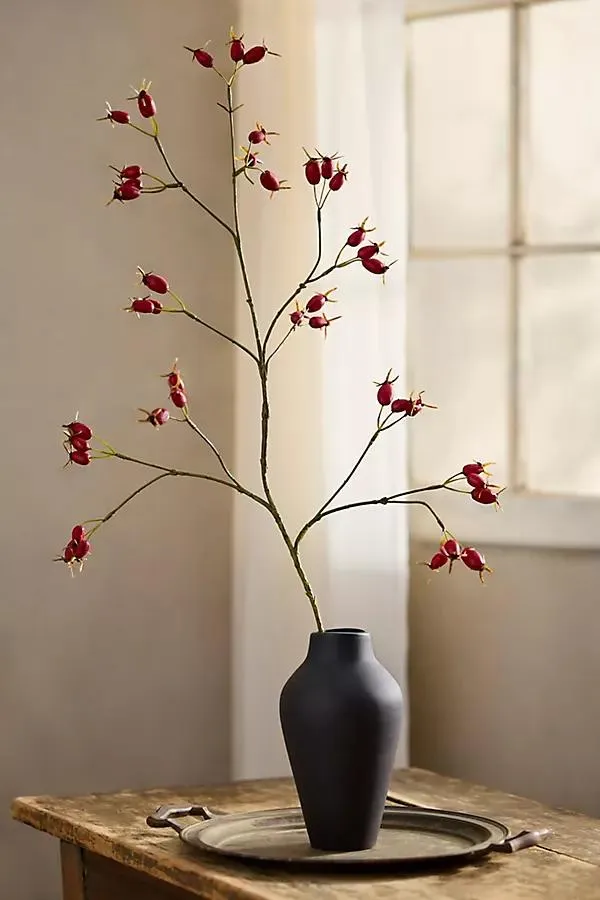Faux Rosehip Spray