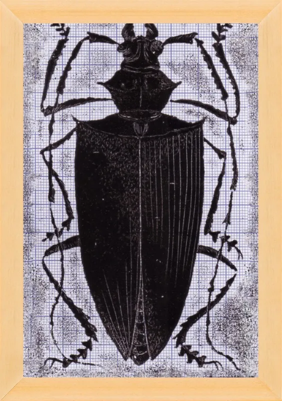 Black Beetle on Grey by Tennopent Sooster for Artfully Walls