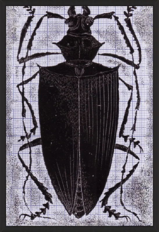 Black Beetle on Grey by Tennopent Sooster for Artfully Walls