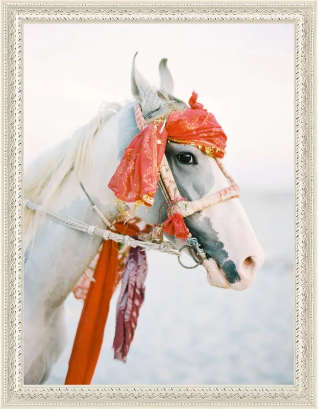 Marwari by Andrew Jacona for Artfully Walls