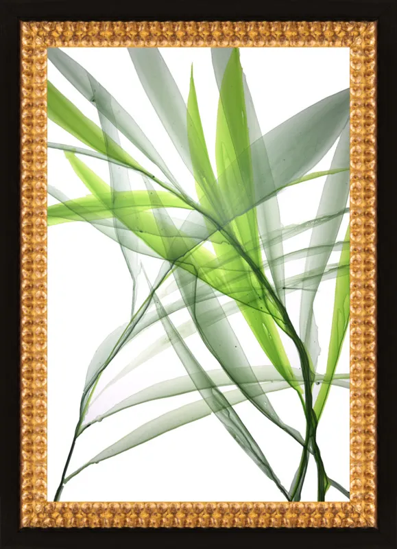 Tropical Study no. 3 by Marina Dunbar  for Artfully Walls