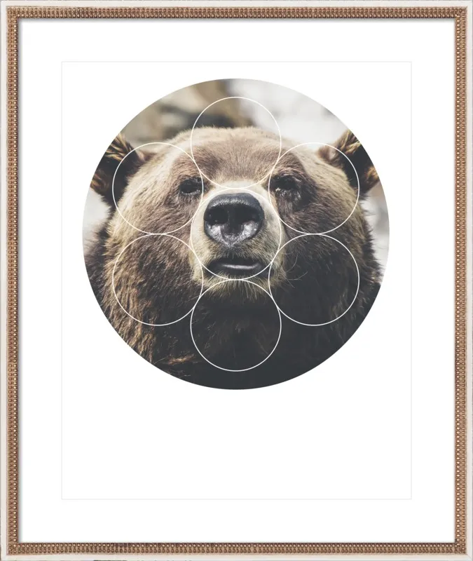 Big Bear Buddy - Geometric Photography by Emiliano Deificus for Artfully Walls