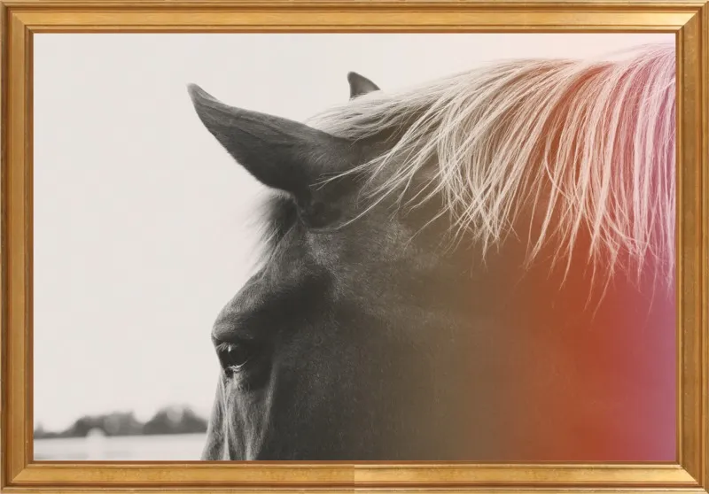 Pink Pony by Alicia Bock for Artfully Walls