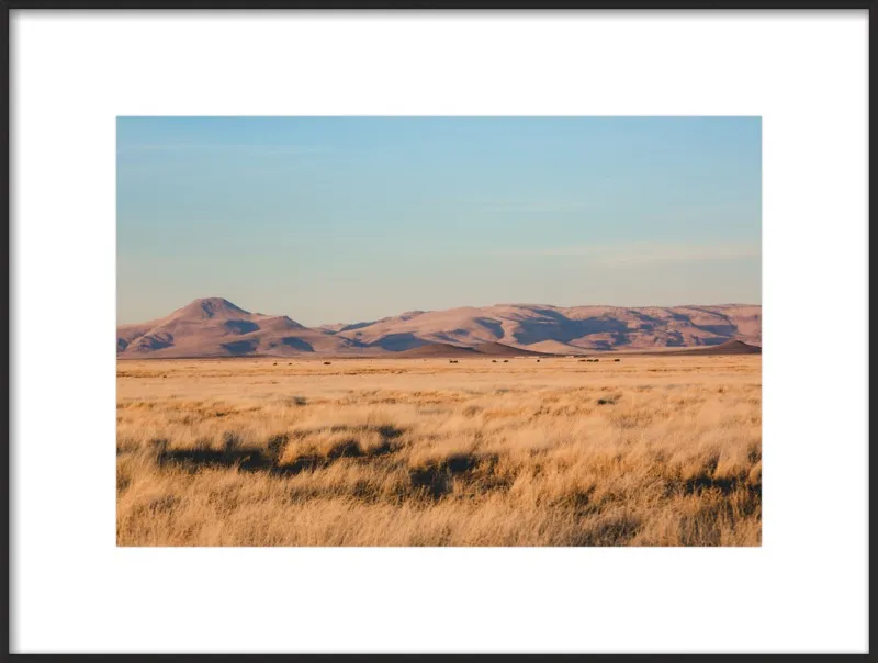 Where the Buffalo Roam by Ann Hudec for Artfully Walls