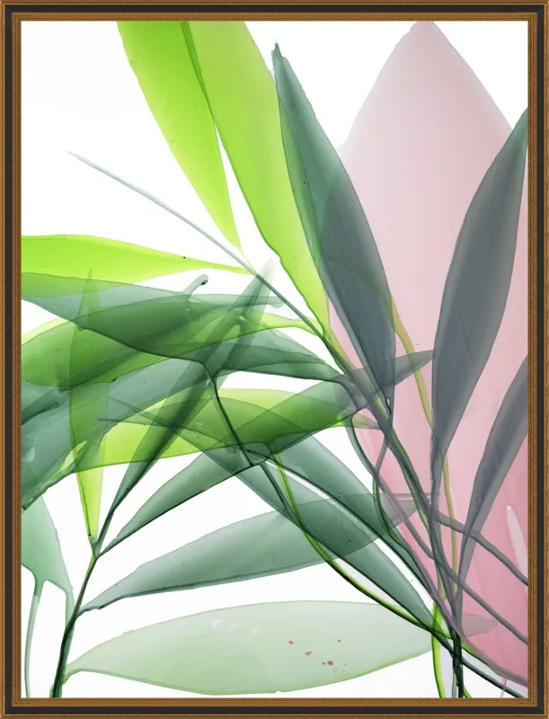 Tropical Study no. 15 by Marina Dunbar  for Artfully Walls