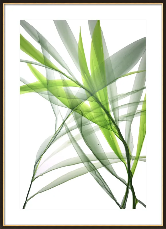 Tropical Study no. 3 by Marina Dunbar  for Artfully Walls