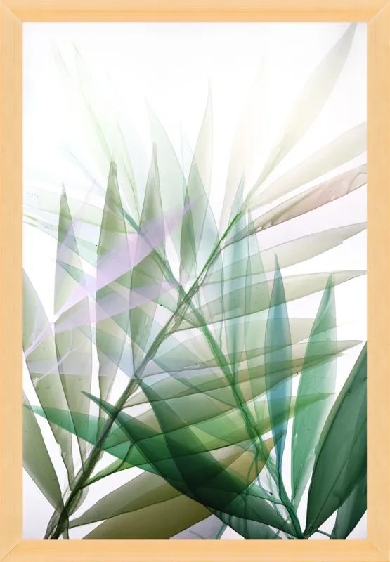 Tropical Study no. 8 by Marina Dunbar  for Artfully Walls