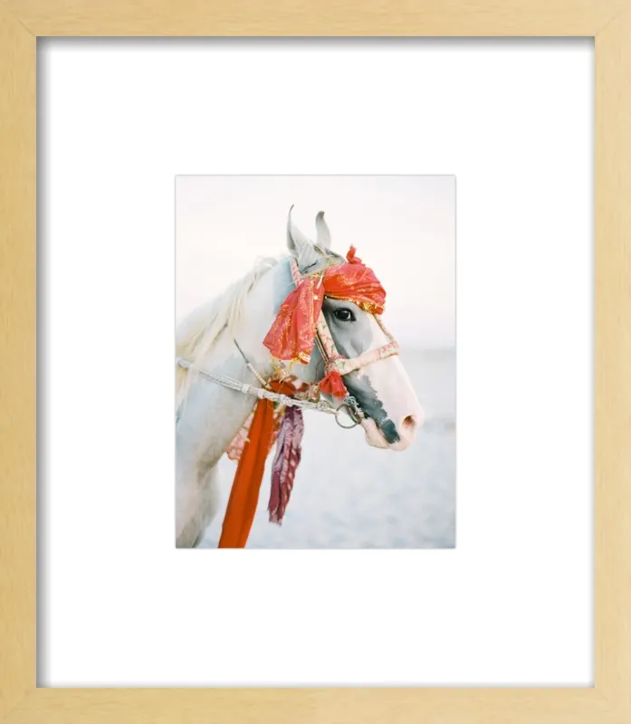 Marwari by Andrew Jacona for Artfully Walls