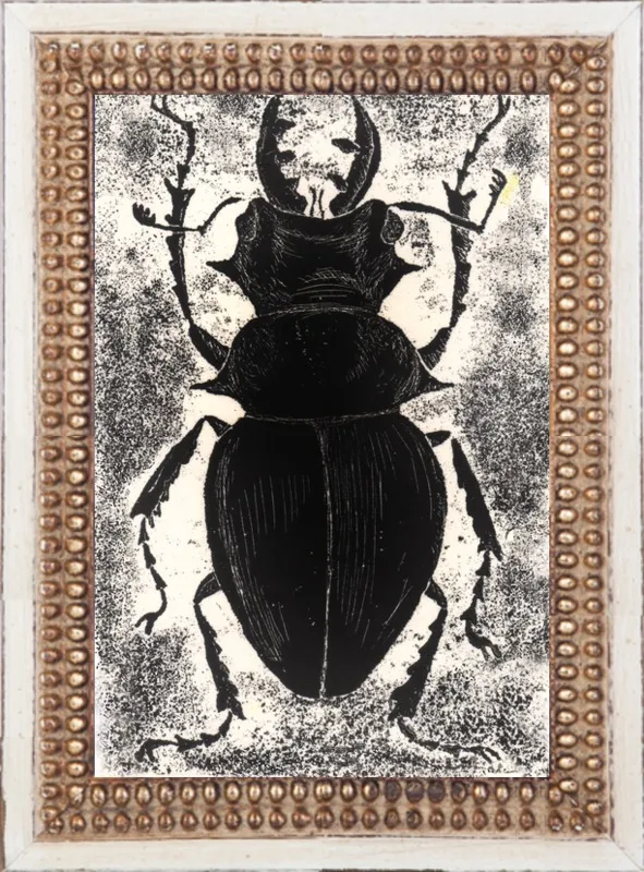 Black Beetle on White by Tennopent Sooster for Artfully Walls