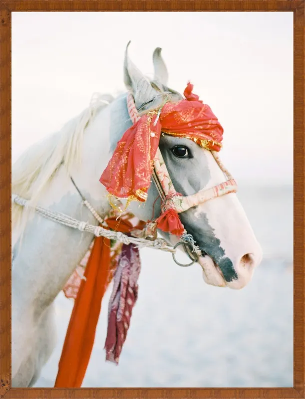 Marwari by Andrew Jacona for Artfully Walls