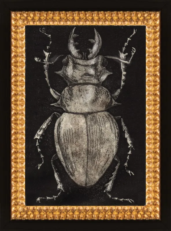 Grey Beetle on Black by Tennopent Sooster for Artfully Walls