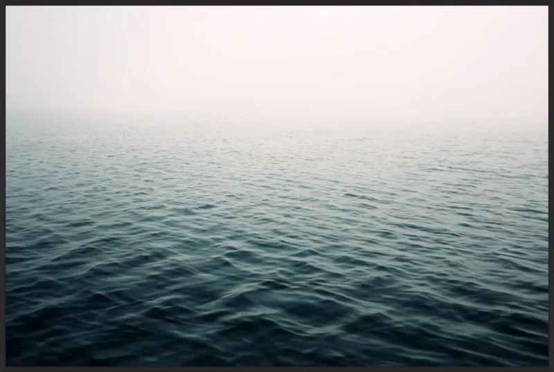Lost In The Fog by Alicia Bock for Artfully Walls