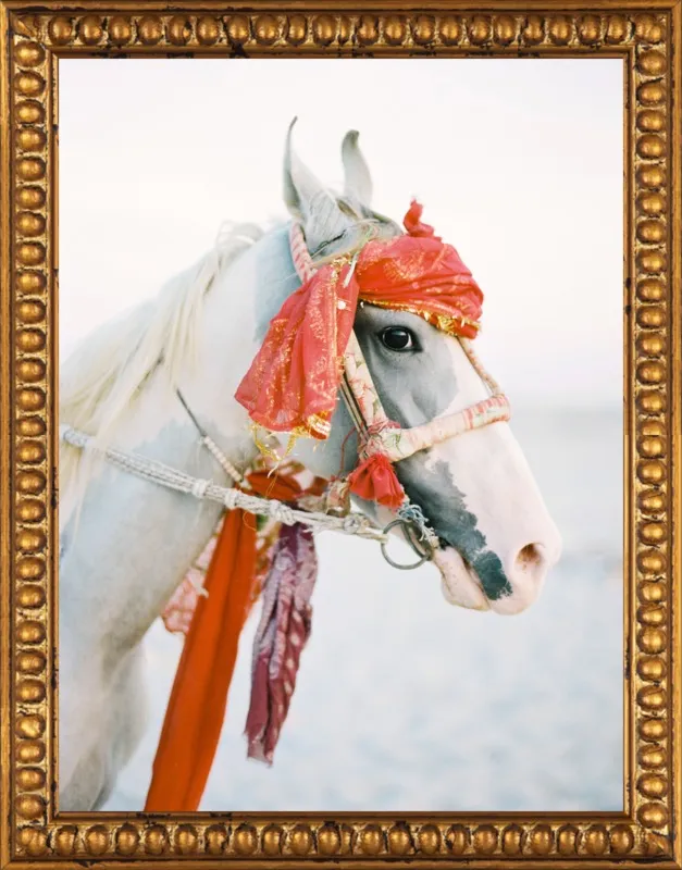 Marwari by Andrew Jacona for Artfully Walls