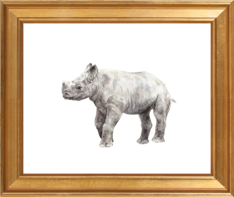 Baby Rhino Watercolor by Lauren Rogoff for Artfully Walls