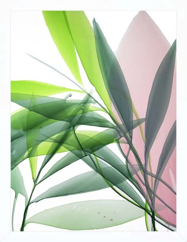 Tropical Study no. 15 by Marina Dunbar  for Artfully Walls